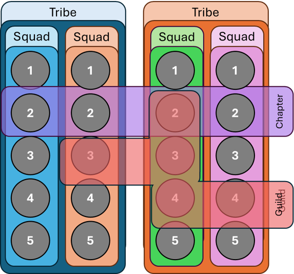 Spotify Model Outline